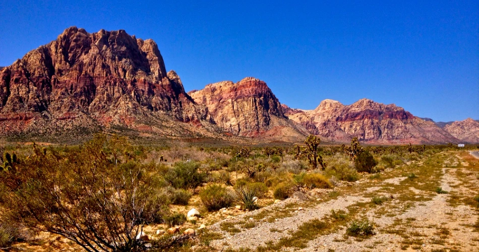48 Hours in Las Vegas – A Complete Guide